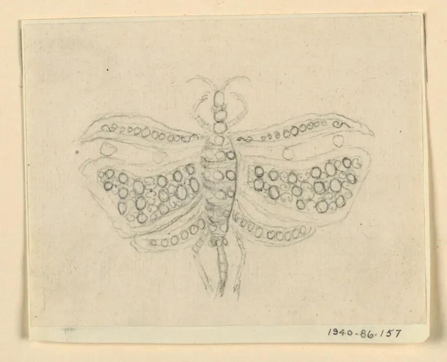 Diseno de un broche-mariposa, 1830-40, Cooper Hewitt