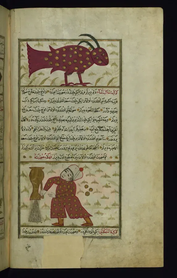 Capricornio y Acuario en un manuscrito otomano de principios del siglo XVIII segun al-Qazwini