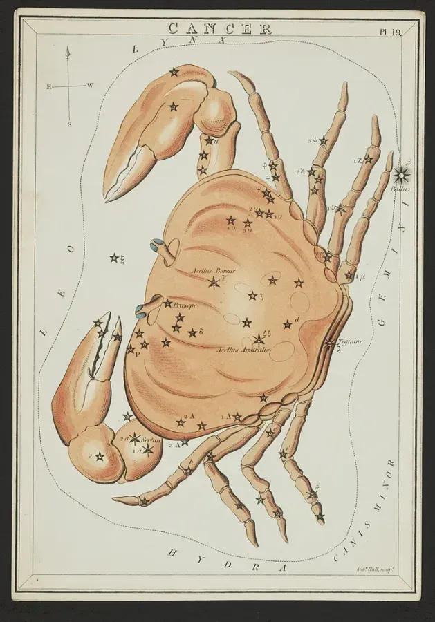 La constelacion de Cancer, aguafuerte coloreado a mano de Sidney Hall del juego de cartas estelares Urania's Mirror, 1825